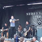 Street Dogs - List pictures