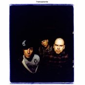 Transplants - List pictures