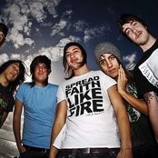 Ambrosia - List pictures