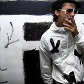 Aardvarck - List pictures