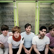 Foals - List pictures