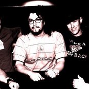 Orgone - List pictures