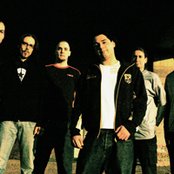 Dreadlock Pussy - List pictures