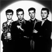 Gallon Drunk - List pictures