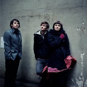 Dear Reader - List pictures