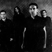 Branches - List pictures