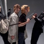 Goose - List pictures