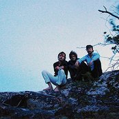 Plants And Animals - List pictures