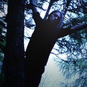 Dornenreich - List pictures