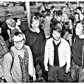 Moss - List pictures