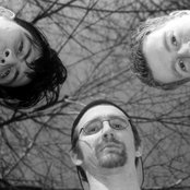 Fifteen - List pictures