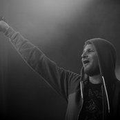 The Qemists - List pictures