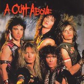 Rough Cutt - List pictures