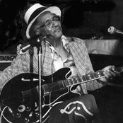 Homesick James - List pictures