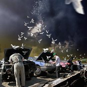 Negativland - List pictures