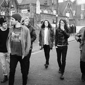 King Gizzard And The Lizard Wizard - List pictures