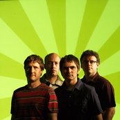 Skank - List pictures