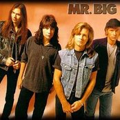 Mr. Big - List pictures