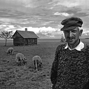 Dj Koze - List pictures