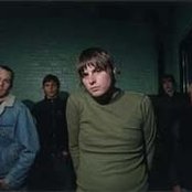 American Nightmare - List pictures