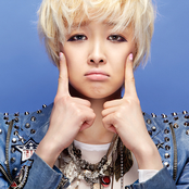 Fat Cat - List pictures