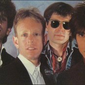 Translator - List pictures