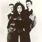 Alaska Y Dinarama - List pictures