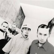 Pax 217 - List pictures