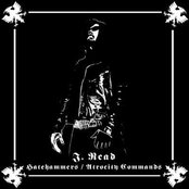 Revenge - List pictures