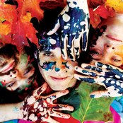 Animal Collective - List pictures