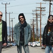 Winery Dogs - List pictures
