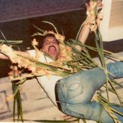 Freddie Mercury - List pictures