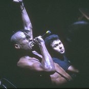 Fishbone - List pictures