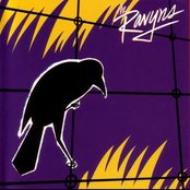 The Ravyns - List pictures