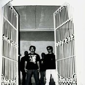 Mandragore - List pictures