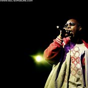 Inspectah Deck - List pictures