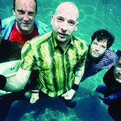 The O.c. Supertones - List pictures