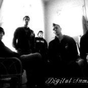 Digital Summer - List pictures