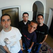 Dogwood - List pictures