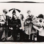 Comet Gain - List pictures