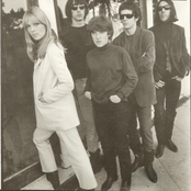 Velvet Underground - List pictures