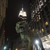 Tiger & Woods - List pictures