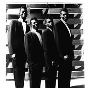 Blue Jays - List pictures