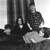 The Pastels - List pictures