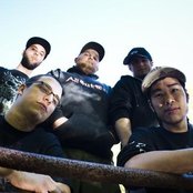 Years Spent Cold - List pictures