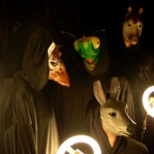 The Sound Of Animals Fighting - List pictures