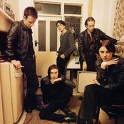 Suede - List pictures