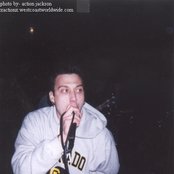 Shogun - List pictures