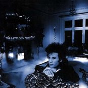 Daniel Ash - List pictures