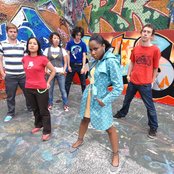 The Go! Team - List pictures